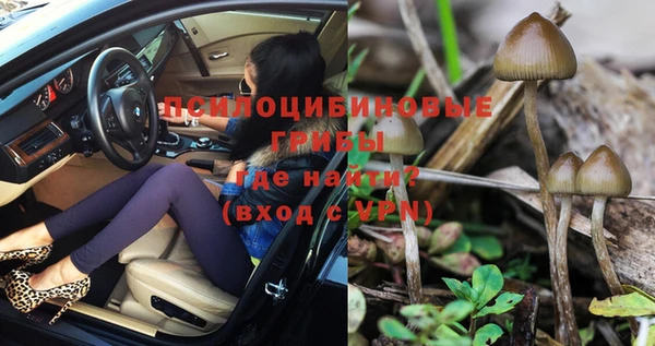 трава Новокубанск