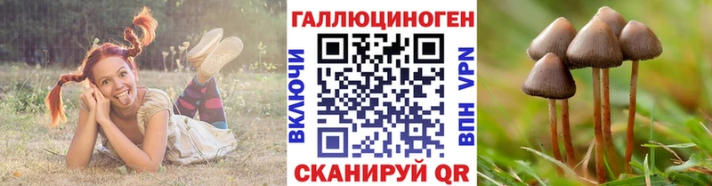 Галлюциногенные грибы мицелий Пролетарск