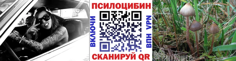 Галлюциногенные грибы Magic Shrooms  наркотики  omg как войти  Пролетарск 